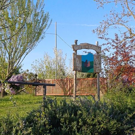 Gatti Di Langa Villa Dogliani Exteriör bild
